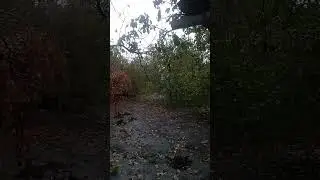 #утро