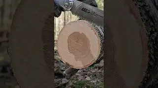 Японские пилы Samurai и ARS на березе 13см.