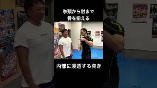 内部に浸透する突き。拳頭から肘まで骨を揃え、刺すように打ちます。 #パーソナルトレーニング #富山 #沖縄空手 #魚津 #松濤館 #空手 ＃突き　＃karate ＃重い突き　＃パンチ