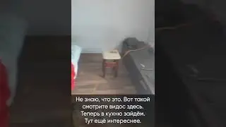украинские беженцы в Польше