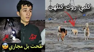 العودة بعد غياب _ اخذت كلابي لصيد روك يكتل كلاب البر _ سقوط صلبوخ بل مجاري😨