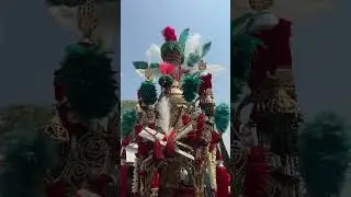 Meri Imam Hussain A.S #imamhussain #20safarchehlumimamhussain #nadeemsarwar #jaloos