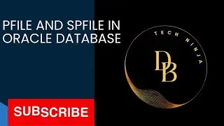 pfile spfile in oracle database