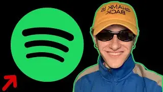 I Have a Song on Spotify