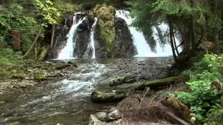 Mendenhall Glacier & Salmon Bake | Shore Excursion | NCL
