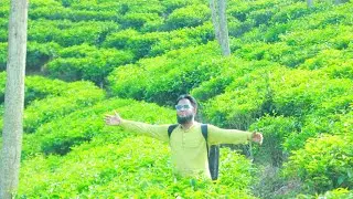 Sylhet, sreemangal.