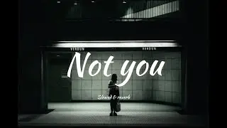 Not You - Alan Walker ft. Emma Steinbakken [ Slowed & Reverb ] Lyrics.