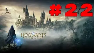 Hogwarts Legacy Playthrough Part 22- Epilogue