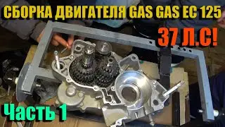 СБОРКА ДВИГАТЕЛЯ GAS GAS EC 125, НИКАСИЛЬ ОТ RUKAVKIN