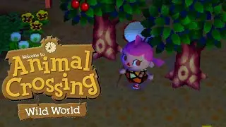Animal Crossing: Wild World - The Last Night of Summer