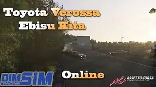 Assetto Corsa - Verossa - Тестовая Online покатушка на Ebisu Kita