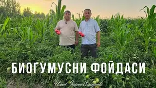 БЕРИЛГАН ИМКОНИЯТДАН УНУМЛИ ФОЙДАЛАНГАН ДЕХКОН.