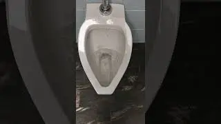 urinal