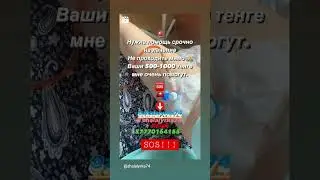 Очень Срочно! Нужна Помощь! 