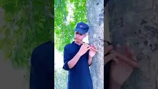 মন কারা বাঁশির সুর//যতবার শুনবেন শুধু শুনতেই মন চাইবে// Bangla Bhai TV