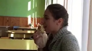 Сексуально ела бутерброд и подавилась