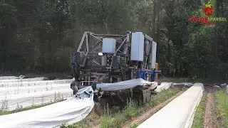 Neues vom Spargelernte-Roboter