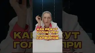 27 июля 2024 г.