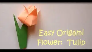 Origami Flower: Easy Tutorial for Beginners (Tulip) - Step by Step Easy Origami Instructions