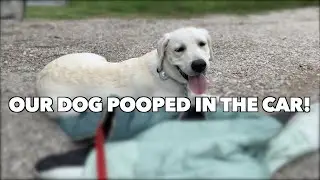 MY DAD HAD A STROKE AND THE DOG POOPED IN THE CAR!