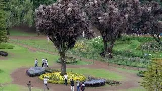 Canon Eos 550d Field Test Video | Zoom Test Video | Live video
