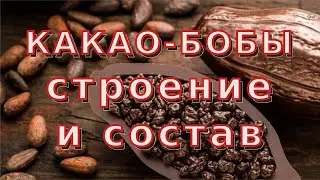 Какао-бобы: происхождение, строение и состав