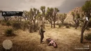 Red Dead Redemption 2 couguar légendaire