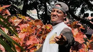 Auta mg boy 2024 Kace Daya Latest Song