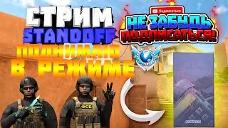 АПАЮ ЛЕГЕНДУ В СОЮЗНИКАХ СТРИМ СТАНДОФФ 2|STANDOFF 2