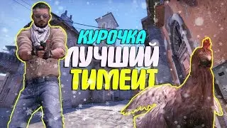 КУРОЧКА ЮЛЯ | НОВОГОДНИЙ CS:GO МОНТАЖ