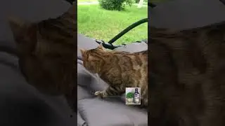 Короткие анекдоты. #анекдототкожаного