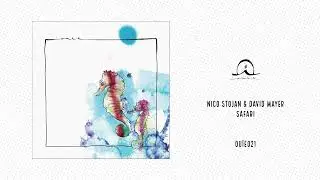 Nico Stojan & David Mayer: Safari