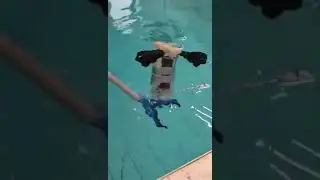 Student project : underwater robot for ROV tether management