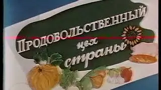 Экономическая география СССР. Европейский юг.