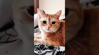 ура пятница