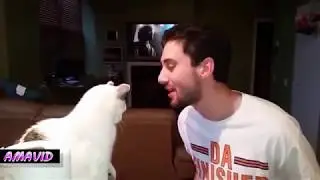 ♥AMAVID ♥ Owner will kiss his Cat watch what happens... 2017 HD 720p