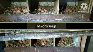 Стабильный доход зимой в деревне.