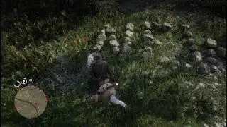 Red Dead Redemption 2 StoneGraphy