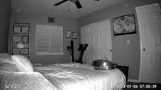 Orb Swoops By Inside Our Spare Bedroom