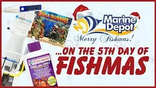 Fifth Day of Fishmas 2018 ❄ DrTim's 15% OFF + GIVEAWAY ❄ AquaMaxx CO-1 & CO-2 Skimmers 25% OFF