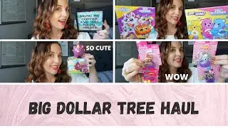 BIG DOLLAR TREE HAUL|NEW AMAZING FINDS