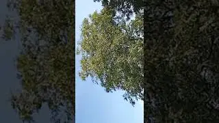 Места битв первой мировой ч.2