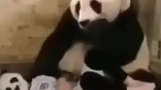 Komik