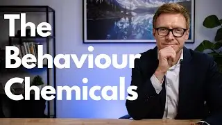 The Chemicals Fueling Your Company