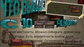 Что выпадет с 10 ящиков на локации „Опушка леса