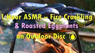 1 Hour ASMR – Fire Crackling & Roasted Eggplants on Outdoor Disc 🔥 4K