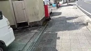 Jalan jalan di Negara Jepang 🇯🇵