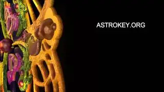 Заставка для канала astrokey.org (Лекции о нео эзотерике)