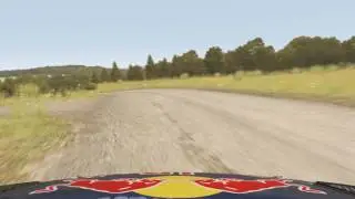 Dirt Rally - Challenge 2