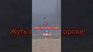 сильный туман и похолодание в Светлогорске. 24.05.24